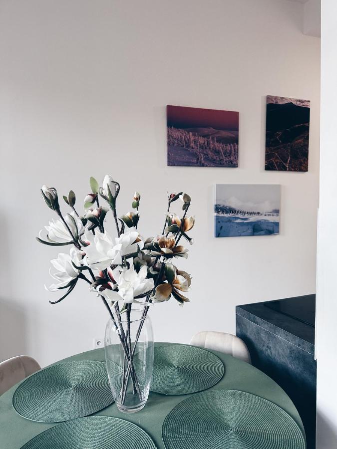Loft Przy Placu Niepodleglosci Apartment Jelenia Góra Екстериор снимка